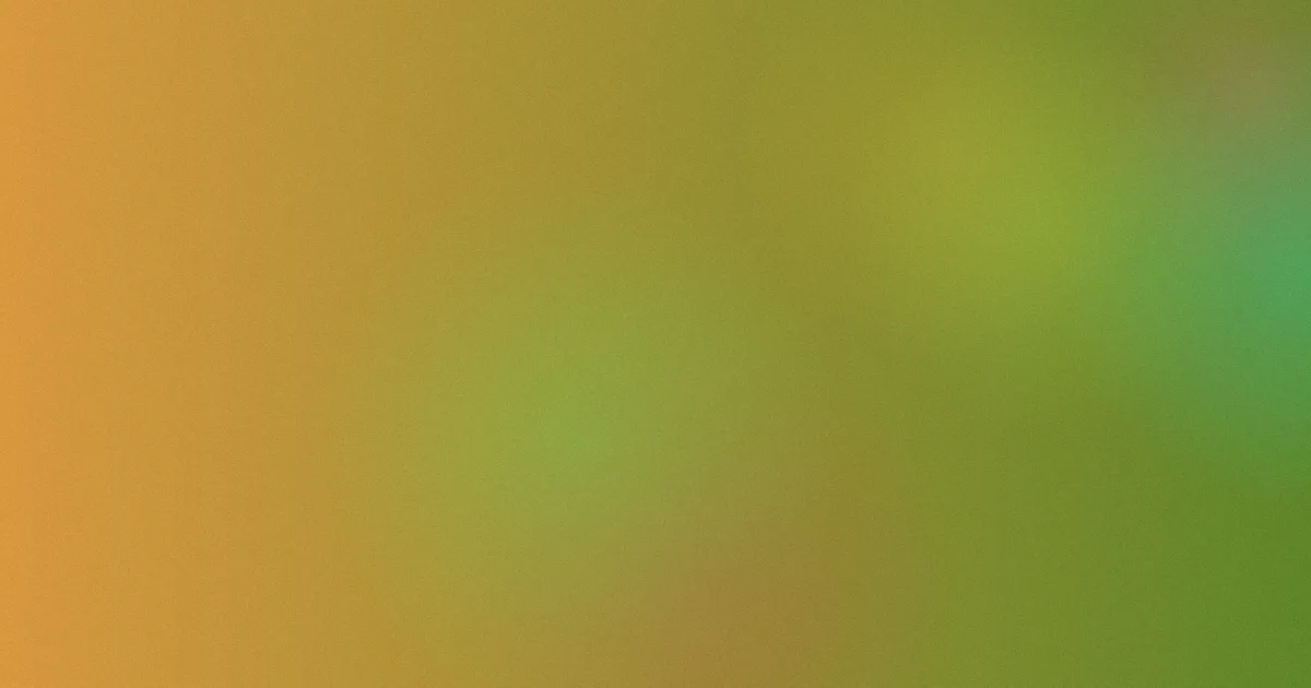 罗密施耐德测评：别踩这7个坑